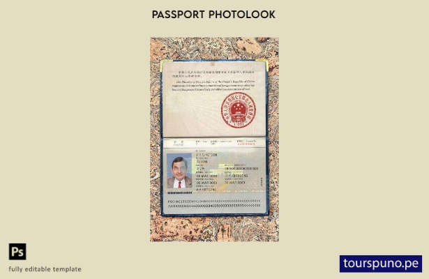 Plantilla de aspecto fotográfico lista para imprimir el pase de China ( )
